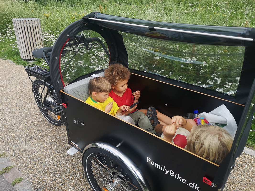 Vélo cargo pour 3 enfants